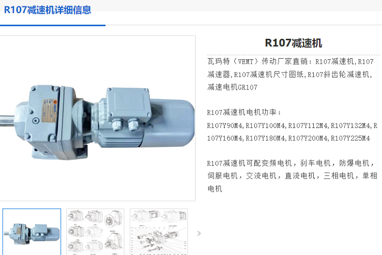 DLR10-42.3-Y45KW-4P-M1-R齿轮减速电机.png